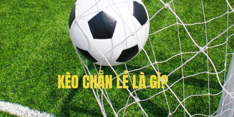 Điểm qua các trường hợp phổ biến, dễ dàng bắt gặp trên thị trường Điểm qua các trường hợp phổ biến, dễ dàng bắt gặp trên thị trường