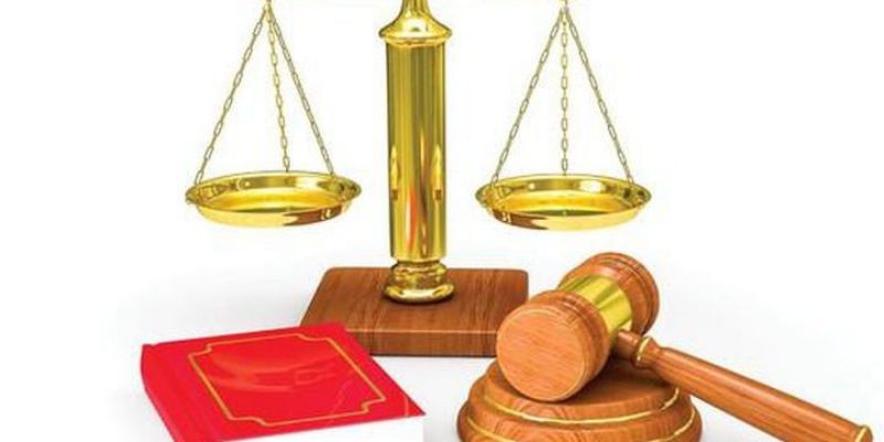 Vai trò của hệ thống này tại EE88 như nào?